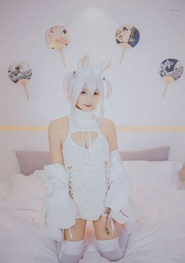 一个明星的诞生