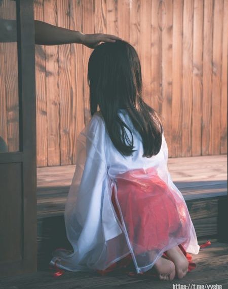 锵锵锵锵锵免费完整观看动漫