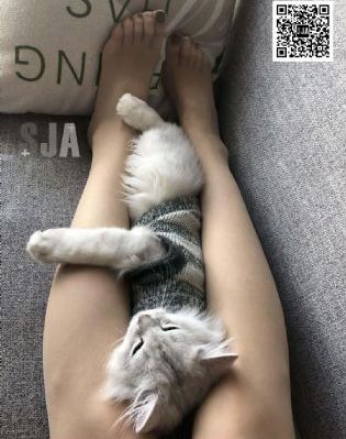 纸牌屋第一季下载