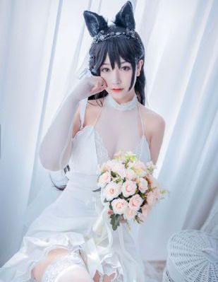 全能主妇短剧免费观看第二季
