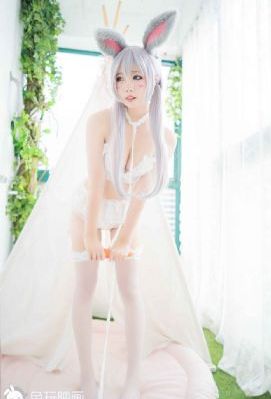 伦理影视