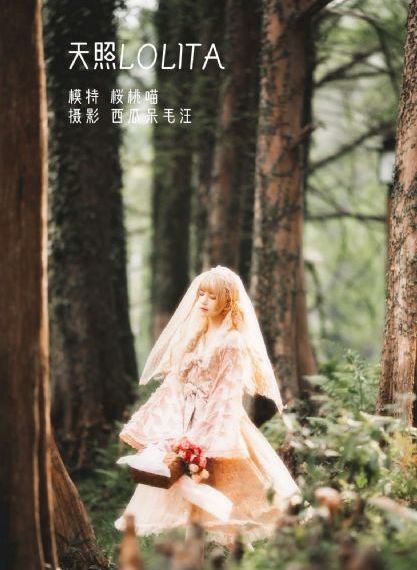 成年视频在线播放
