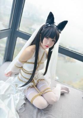 激战电视剧全集在线观看免费